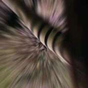 ヒメ日記 2026/01/19 00:39 投稿 あいか 博多プラチナム