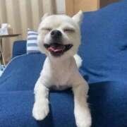 ヒメ日記 2026/01/21 00:29 投稿 あいか 博多プラチナム