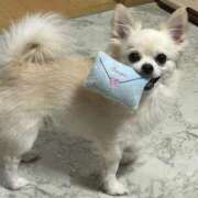 ヒメ日記 2026/02/05 20:34 投稿 あいか 博多プラチナム