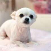 ヒメ日記 2026/02/13 19:20 投稿 あいか 博多プラチナム