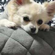 ヒメ日記 2026/02/24 22:50 投稿 あいか 博多プラチナム