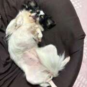 ヒメ日記 2026/03/04 02:00 投稿 あいか 博多プラチナム