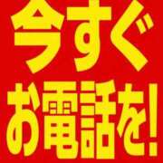 ヒメ日記 2026/09/25 18:20 投稿 りり 博多プラチナム