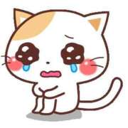 ヒメ日記 2026/01/04 11:09 投稿 きらら 博多プラチナム