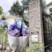 ヒメ日記 2026/04/19 20:42 投稿 きらら 博多プラチナム