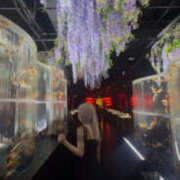 ヒメ日記 2025/06/20 08:15 投稿 もあ 彼女の部屋本店