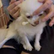 ヒメ日記 2026/03/14 08:16 投稿 もあ 彼女の部屋本店