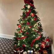 ヒメ日記 2025/11/29 12:22 投稿 しゅん THE ESUTE 五反田店