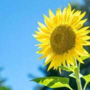 名倉 ７月になりましたが、、、 熟女の風俗最終章 新横浜店