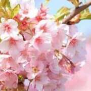 ヒメ日記 2026/03/20 17:06 投稿 名倉 熟女の風俗最終章 新横浜店