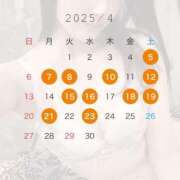 ヒメ日記 2025/03/24 22:15 投稿 あや コルドンブルー