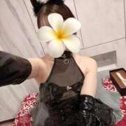 ヒメ日記 2025/10/30 00:25 投稿 あや コルドンブルー