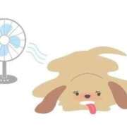 ヒメ日記 2025/08/27 15:06 投稿 かんな 西川口ビデオdeはんど