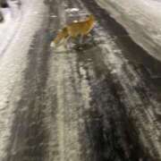 ヒメ日記 2025/01/09 06:28 投稿 ひなた 札幌回春性感マッサージ倶楽部