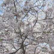 ヒメ日記 2025/05/07 11:08 投稿 ひなた 札幌回春性感マッサージ倶楽部