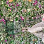 ヒメ日記 2025/06/28 20:37 投稿 ひなた 札幌回春性感マッサージ倶楽部