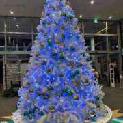 ヒメ日記 2025/11/29 17:28 投稿 ひなた 札幌回春性感マッサージ倶楽部