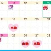 ヒメ日記 2025/02/14 12:03 投稿 桜庭ありさ 全裸美女からのカゲキな誘惑