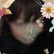 ヒメ日記 2025/04/06 12:37 投稿 あんな 尼妻（あまづま）