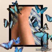 ヒメ日記 2025/05/15 06:23 投稿 あんな 尼妻（あまづま）