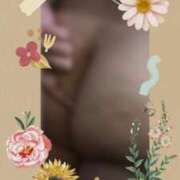 ヒメ日記 2025/06/29 10:59 投稿 あんな 尼妻（あまづま）