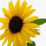 ヒメ日記 2025/07/07 19:28 投稿 あんな 尼妻（あまづま）