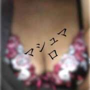 ヒメ日記 2025/07/19 15:40 投稿 あんな 尼妻（あまづま）