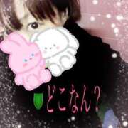 ヒメ日記 2025/10/25 14:20 投稿 あんな 尼妻（あまづま）