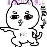 ヒメ日記 2025/11/08 22:53 投稿 あんな 尼妻（あまづま）