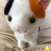 ヒメ日記 2025/11/23 12:52 投稿 あんな 尼妻（あまづま）