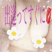 ヒメ日記 2026/01/14 07:50 投稿 あんな 尼妻（あまづま）