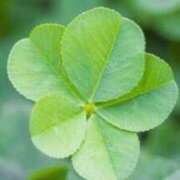 ヒメ日記 2026/02/12 23:09 投稿 あんな 尼妻（あまづま）