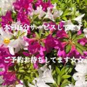 ヒメ日記 2026/04/16 15:38 投稿 あんな 尼妻（あまづま）