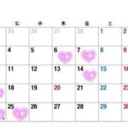 ヒメ日記 2025/02/26 12:01 投稿 せいら ドMバスターズ 京都店