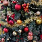 ヒメ日記 2024/12/20 22:18 投稿 さり 熟女の風俗最終章 本厚木店