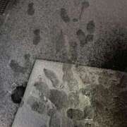 ヒメ日記 2026/01/02 20:05 投稿 そら セレブクエスト-koshigaya-