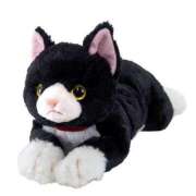 ヒメ日記 2025/01/20 19:34 投稿 なる 錦糸町ハートショコラ（シンデレラグループ）