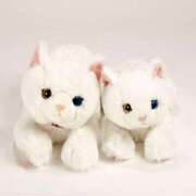 ヒメ日記 2025/03/16 17:54 投稿 なる 錦糸町ハートショコラ（シンデレラグループ）