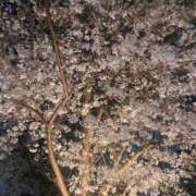 ヒメ日記 2025/04/01 19:26 投稿 なる 錦糸町ハートショコラ（シンデレラグループ）