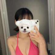 ヒメ日記 2025/04/04 11:15 投稿 ひより BIKINISPA「真」-ビキニスパ-