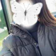 ヒメ日記 2025/11/27 20:25 投稿 ひより BIKINISPA「真」-ビキニスパ-