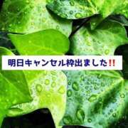 ヒメ日記 2025/12/24 14:22 投稿 えれな Charme（シャルム）