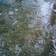 ヒメ日記 2026/02/14 09:44 投稿 えれな Charme（シャルム）