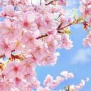 ヒメ日記 2026/03/24 10:32 投稿 えれな Charme（シャルム）