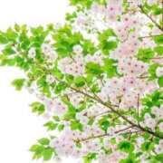 ヒメ日記 2026/03/28 10:42 投稿 えれな Charme（シャルム）