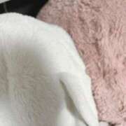 ヒメ日記 2025/04/04 01:52 投稿 しき 横浜Cute