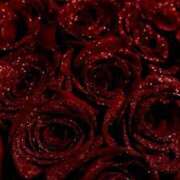 ヒメ日記 2025/05/18 15:02 投稿 しき 横浜Cute