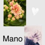 ヒメ日記 2025/01/17 06:31 投稿 真野 人妻楼 熊谷店