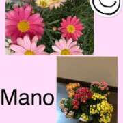 ヒメ日記 2025/03/07 08:49 投稿 真野 人妻楼 熊谷店