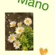 ヒメ日記 2025/03/24 10:02 投稿 真野 人妻楼 熊谷店